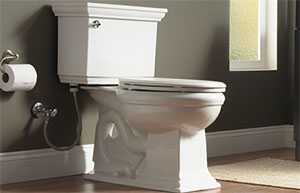 houston tx toilet plumbing
